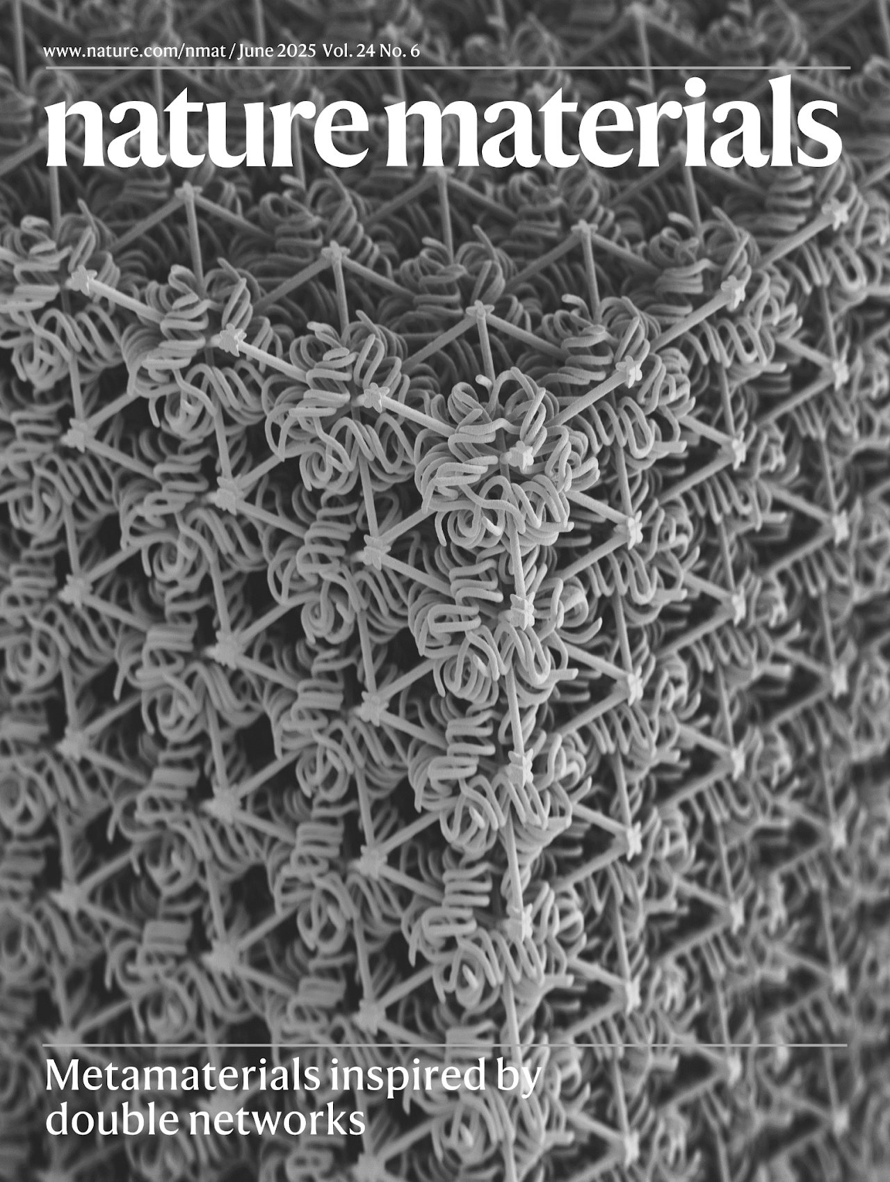 Nature Materials cover showing a grayscale woven lattice and the headline Metamaterials inspired by double networks.